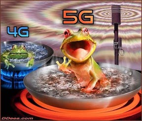 5G
                            Frog