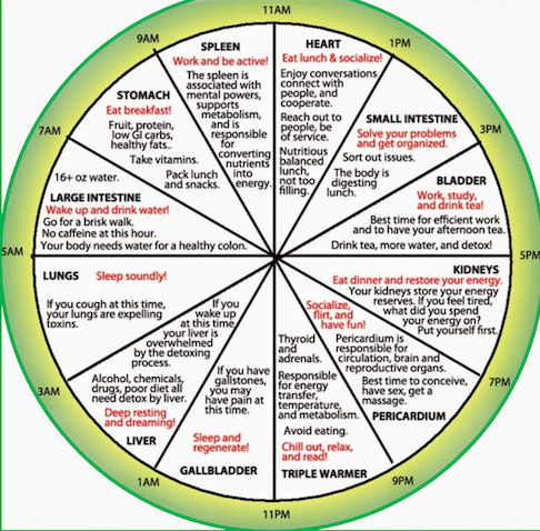 circadian-clock