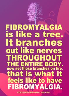 fibro2