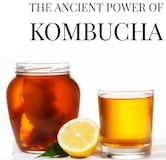kombucha tea