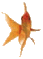 minifish