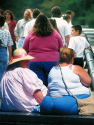 Obese USA.