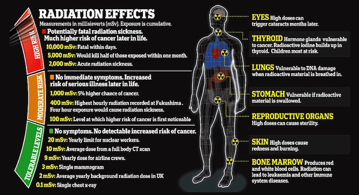 Radiation Effects.