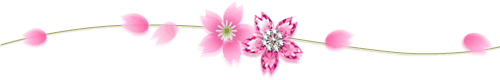 SOQI
flowers