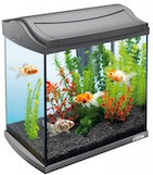 Fish tank