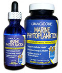 Marine
                            Phytoplankton.