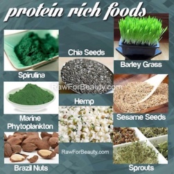 Plant protein.