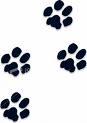 paws